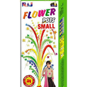 Flower Pot Small- 10 Pieces