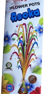 Flower Pot Ashoka– 1 box (10 Pieces)