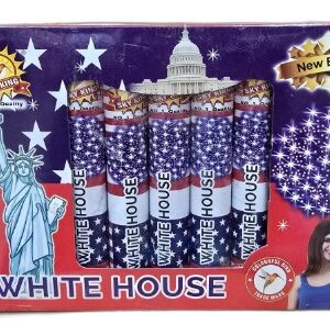 White House (5 Pcs)
